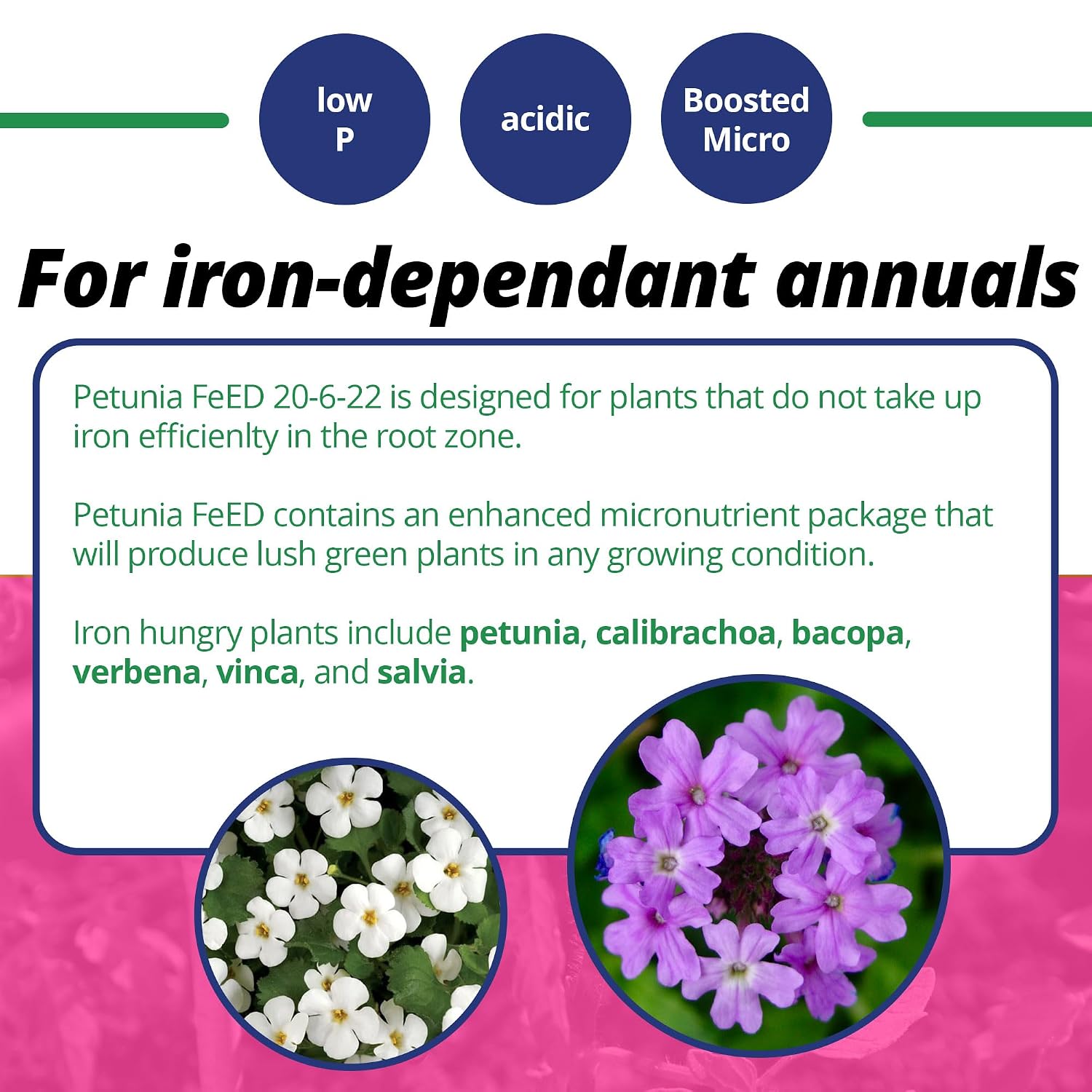Jack'S Classic 20-6-22 Petunia Feed Water-Soluble Fertilizer With Micronutrients, 1.5Lbs - Provides Lush Green Annuals