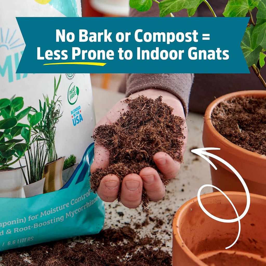 Back To The Roots 100% Organic Indoor Potting Mix (6 Quart), Promotes Healthy Houseplant Growth, Made In The Usa