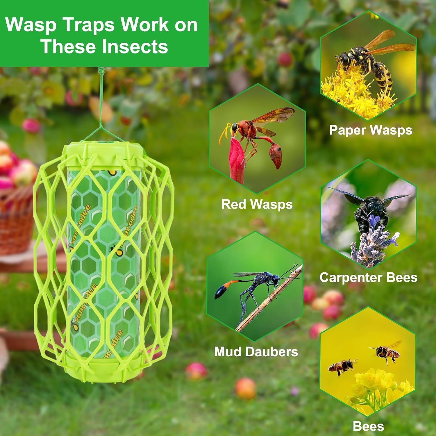 4 Pack Wasp Trap Outdoor Hanging, Carpenter Bee Catchers For Outside(Green) | Reusable Traps With 8 Sticky Refill Sheets, Bee Killer For Hornet Mud Dauber Yellow Jacket, Bug Catcher