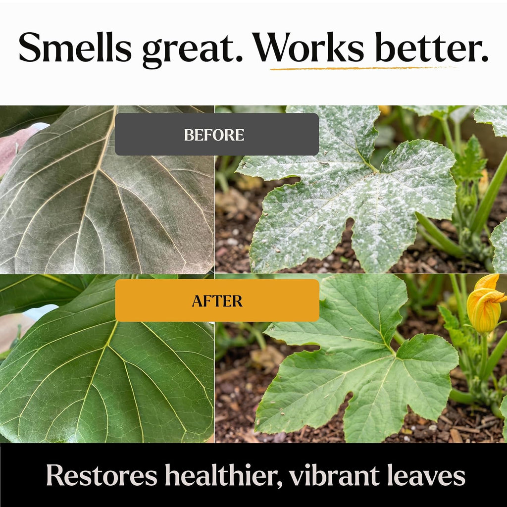 Big Leaf Energy Organic Neem Oil Spray For Plants, Indoor + Outdoor, 16Oz | Ready-To-Use Plant Wash With Essential Oils For Multi-Purpose, Advanced Protection. Made In Usa. Non-Synthetic, No Alcohols