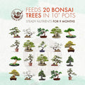 Bonsai Fertilizer - Gentle Slow Release Plant Food Pellets - Ideal For All Indoor And Outdoor Bonsai Tree Plants In Pots (5 Oz) | The Grow Co Ready To Use Granules, Long Lasting Formula That Nourishes Your Plants For Up To 9 Months