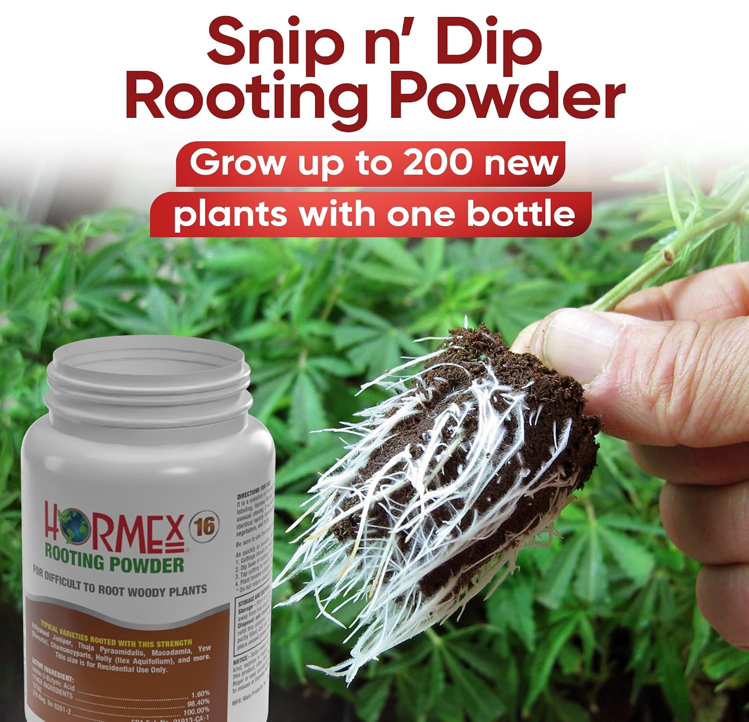 Hormex Rooting Powder #16 (1.60% Iba) For Difficult Hardwood Plants & Trees - Maximum Strength Root Powder, Root Stimulator For Plants, Rooting Hormone For Cuttings, Cloning, & Propagation