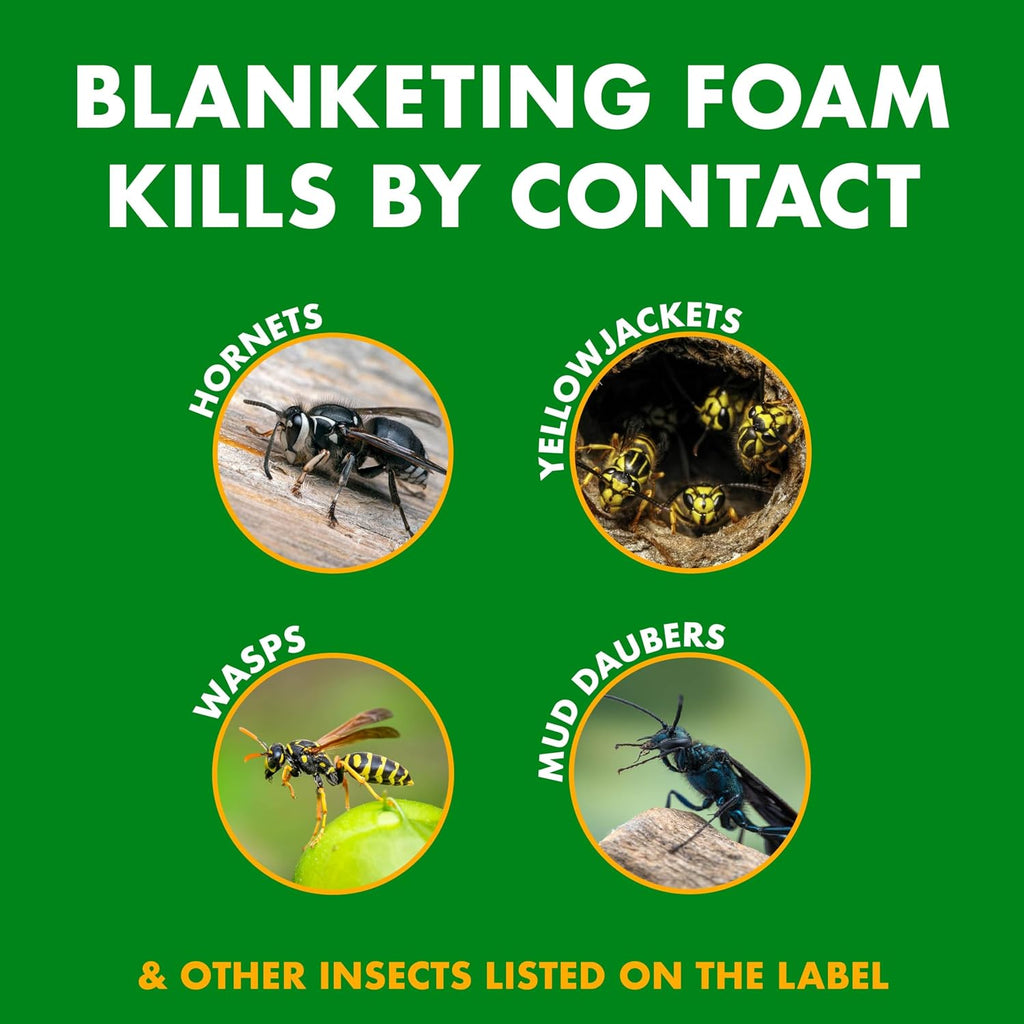 Spectracide Foaming Wasp & Hornet Killer, Blanketing Foam Kills By Contact, 14 Ounces, 3 Pack