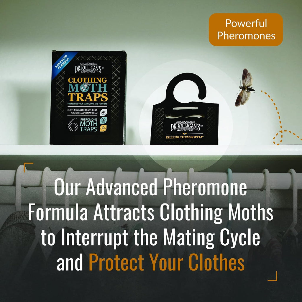 Dr. Killigan'S Premium Clothing Moth Traps With Pheromones (Black, 6 Traps)