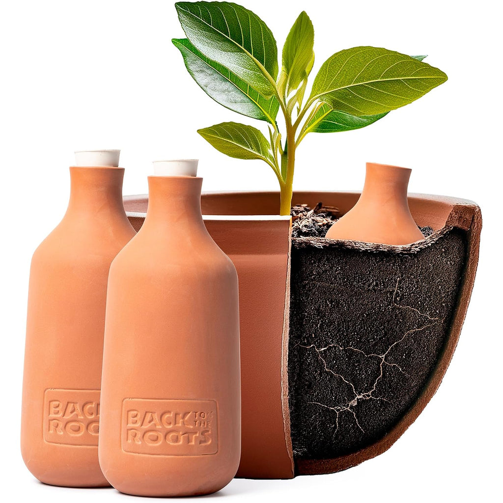 Back To The Roots Self-Watering Terracotta Olla Pot (Pack Of 3), 700Ml Provides 1 Week Of Precision Watering