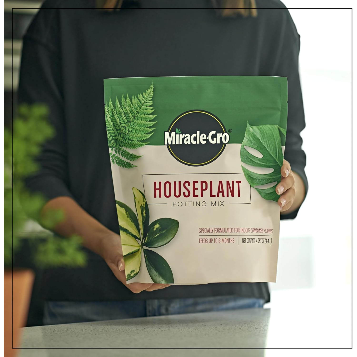 Miracle-Gro Houseplant Potting Mix, 4 Qt. | Fertilized, Perlite Soil For Indoor Gardening, Designed To Be Less Prone To Gnats