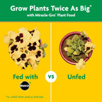 Miracle-Gro Garden Feeder With Water Soluble All Purpose Plant Food, 1 Lb. | Hose-End Feeder For Outdoor Plants