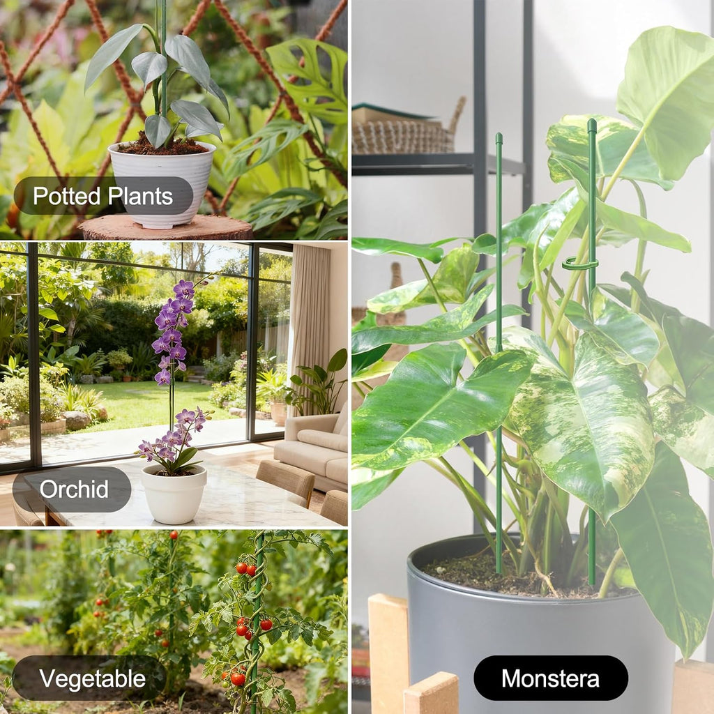 Rifny Plant Stakes For Indoor Plants, 14 Inch Plant Support Stakes With Clips, Tall Adjustable Plant Sticks For Indoor Monstera Tomato Orchid Potted Plants Flower (6 Pcs, Green)