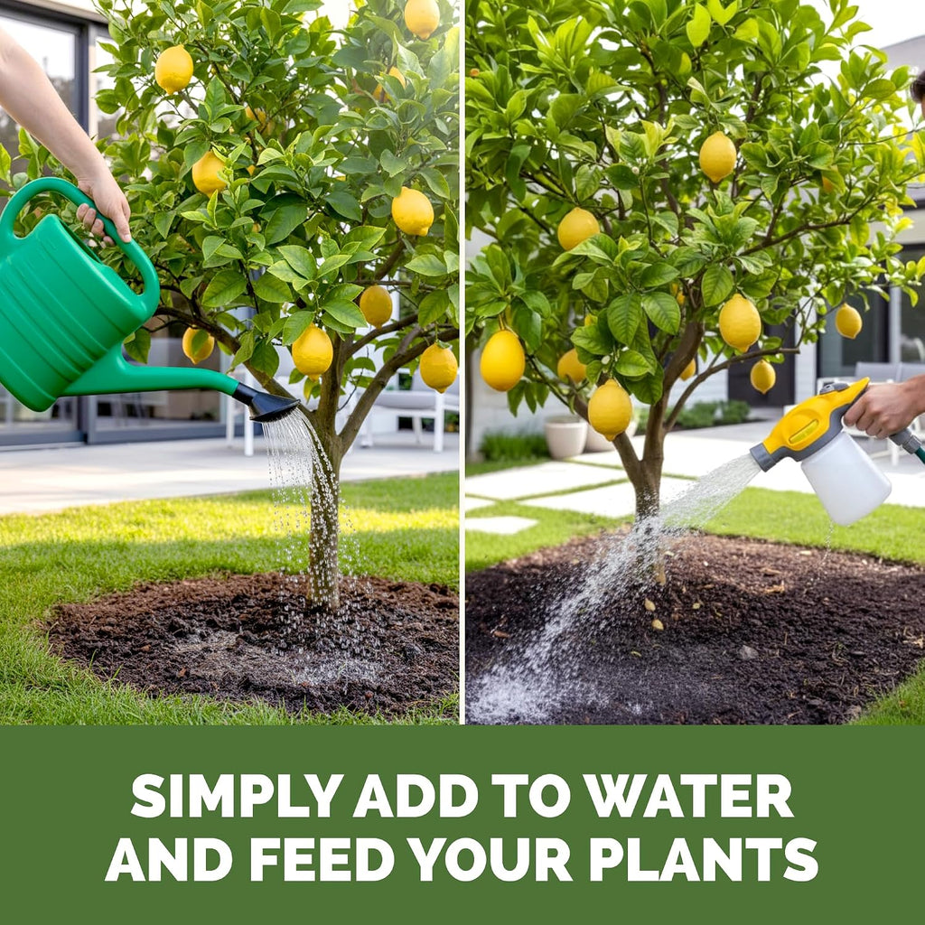 Lemon Tree Fertilizer – Liquid Plant Food For More Fruit, Better Flowering & Stronger Root Development, 8 Oz