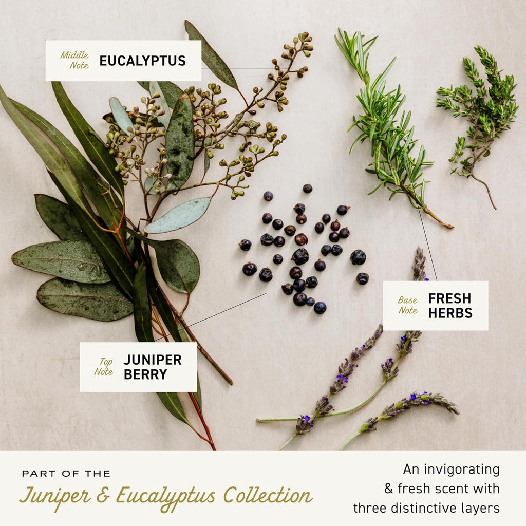 Cremo Juniper & Eucalyptus Barber Grade Thickening Shampoo, 16 Fl Oz