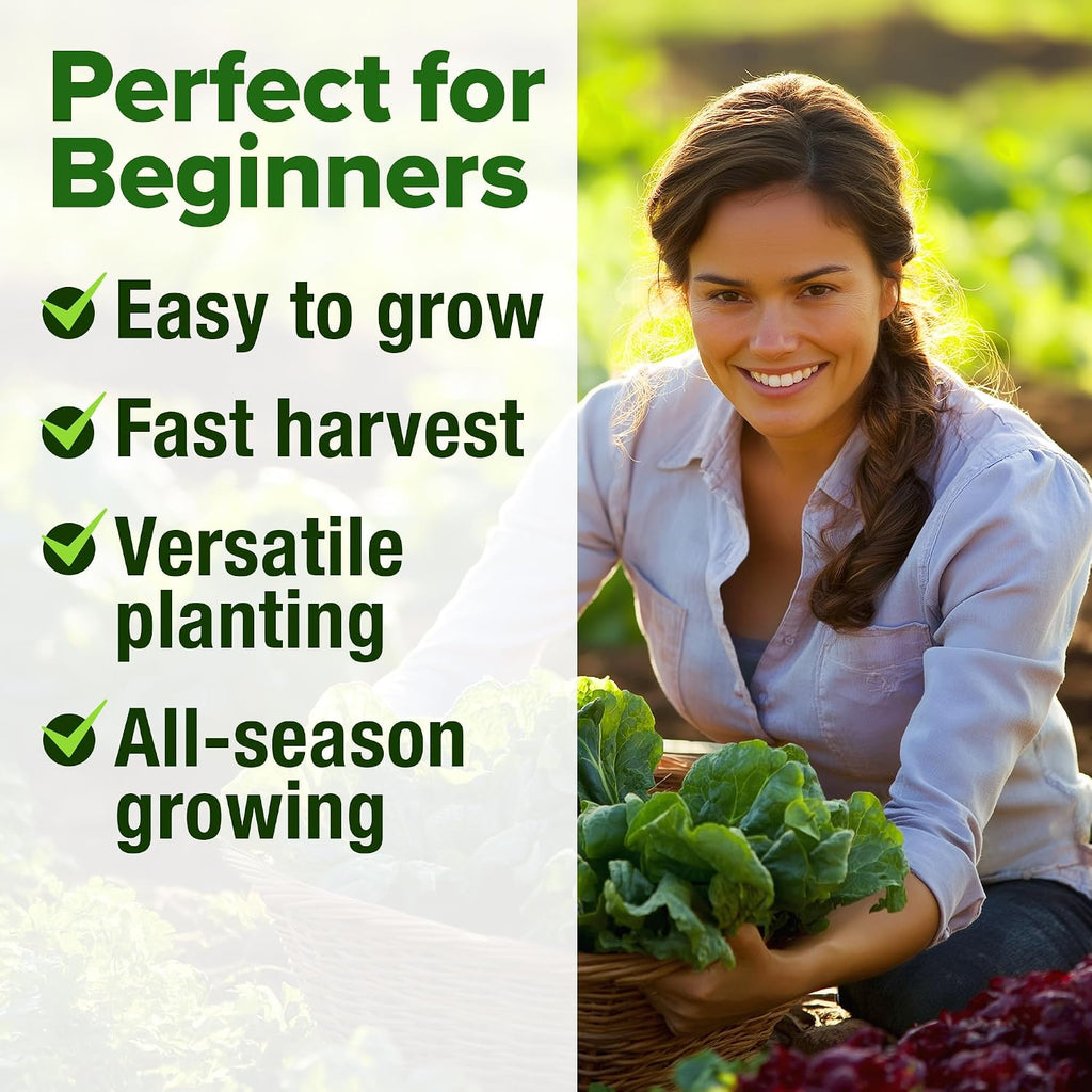 Home Grown Lettuce Seeds 5 Variety Mix 3950+ Bulk Pack Heirloom Non-Gmo, High Germination, Romaine, Bibb, Buttercrunch, Iceberg, Black Seeded Simpson, Indoor Outdoor Hydroponic Garden (Lactuca Sativa)