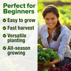 Home Grown Lettuce Seeds 5 Variety Mix 3950+ Bulk Pack Heirloom Non-Gmo, High Germination, Romaine, Bibb, Buttercrunch, Iceberg, Black Seeded Simpson, Indoor Outdoor Hydroponic Garden (Lactuca Sativa)
