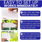 50 Window Fly Traps Sticky Non-Toxic Clear Fly Paper Indoor For Home. No Mess Flies Window Sticky Traps Bug Flies Strips Indoors. Fruit And Housefly Trap Indoor Flypaper Tape Gnat Catcher Killer