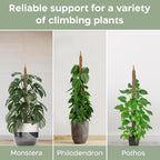 2 Pack 28'' Bendable Moss Pole Monstera Plant Support For Climbing Indoor Plants - Stakes For Potted Climbers - Tall Sticks Indoor Trellis For Houseplants - Accessories For Monstera Pot