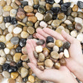 Pebbles Polished Gravel, Natural Polished Mixed Color Stones,0.5-1.2Inch Small Decorative River Rock Stones 2 Pounds (32-Oz)