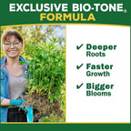 Espoma Organic Holly-Tone 4-3-4 Natural & Organic Evergreen & Azalea Plant Food; 4 Lb. Bag; The Original & Best Fertilizer For All Acid Loving Plants Including Rhododendrons & Hydrangeas. Pack Of 2