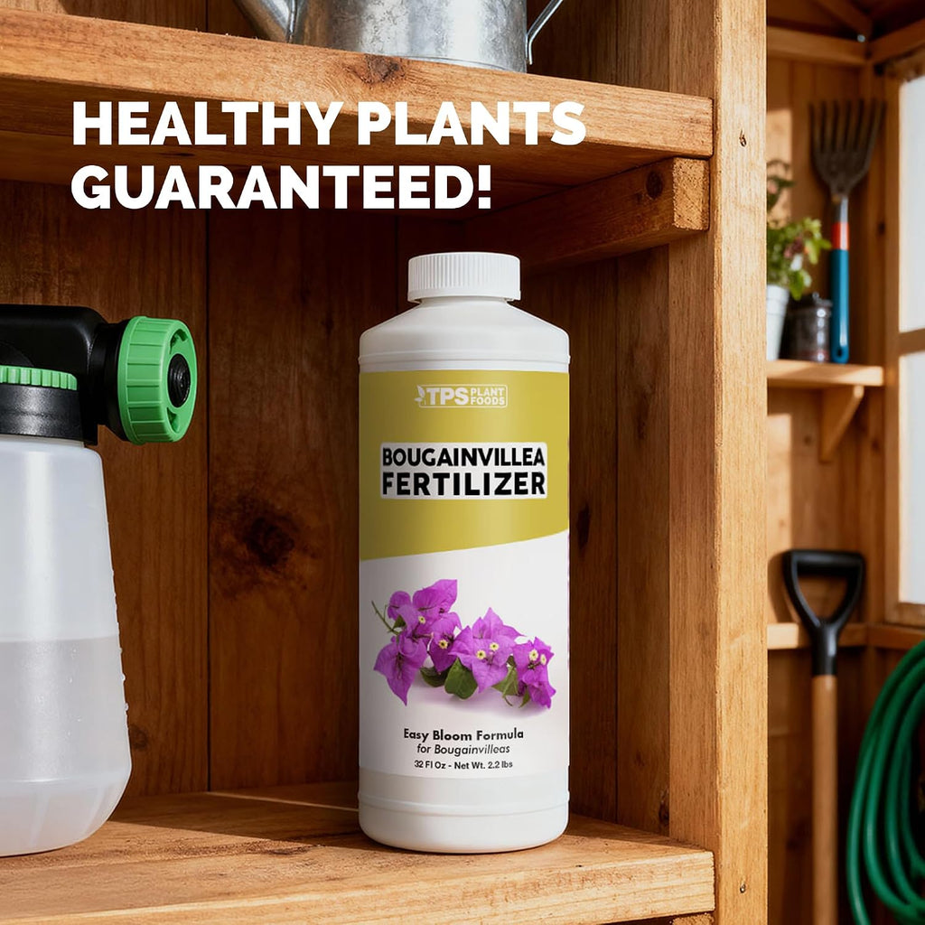Bougainvillea Fertilizer – Liquid Plant Food For More Blooms, Brighter Color & Fuller Growth, 8 Oz