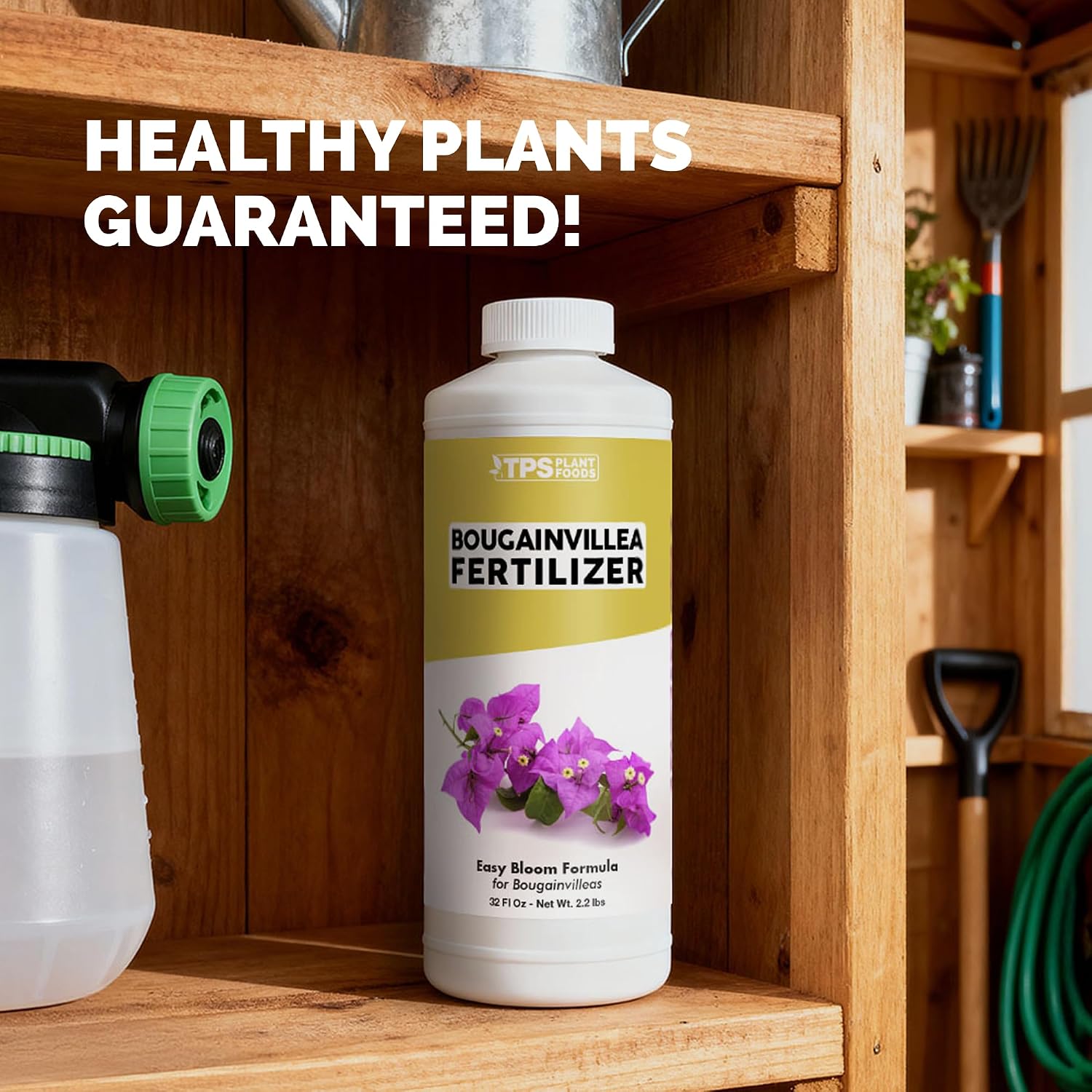 Bougainvillea Fertilizer – Liquid Plant Food For More Blooms, Brighter Color & Fuller Growth, 8 Oz