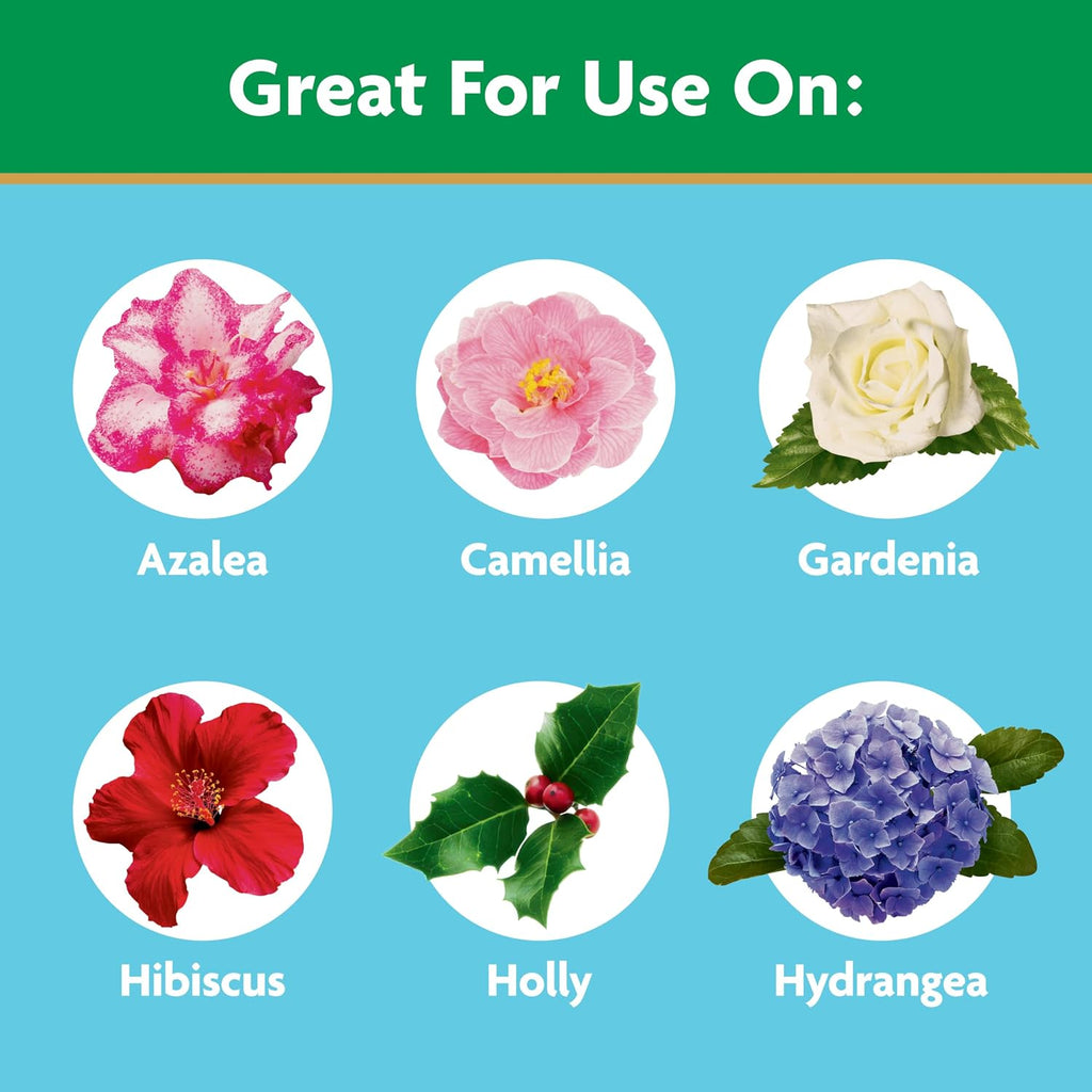 Miracle-Gro Water Soluble Azalea, Camellia, Rhododendron Plant Food, 5 Lb. | Fertilizer For Acid-Loving Plants & Flowers