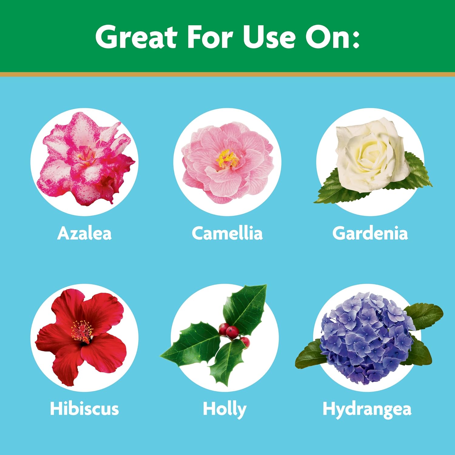 Miracle-Gro Water Soluble Azalea, Camellia, Rhododendron Plant Food, 5 Lb. | Fertilizer For Acid-Loving Plants & Flowers