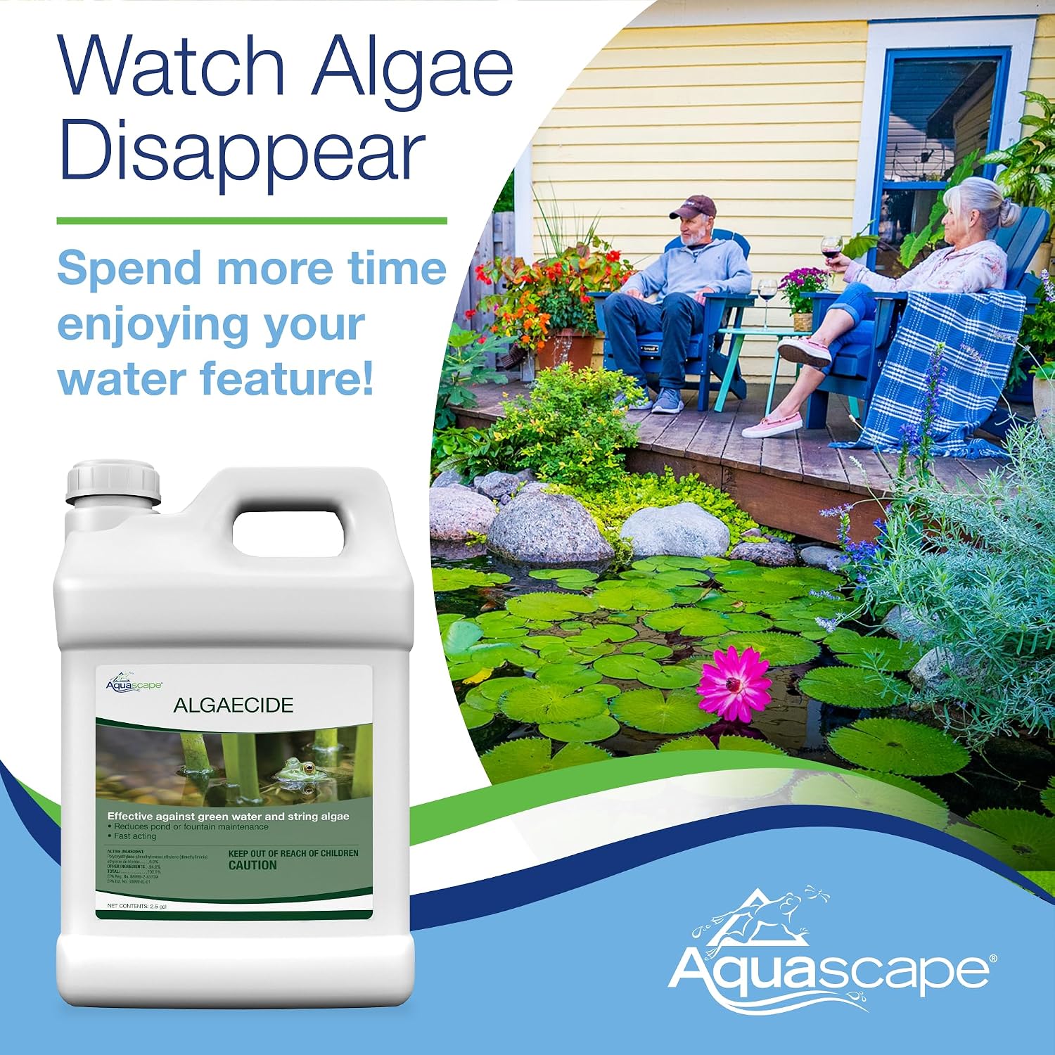 Aquascape Algaecide For Pond, Waterfall, And Water Features, 32-Ounce, 96024