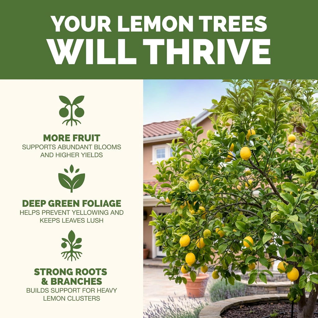 Lemon Tree Fertilizer – Liquid Plant Food For More Fruit, Better Flowering & Stronger Root Development, 8 Oz