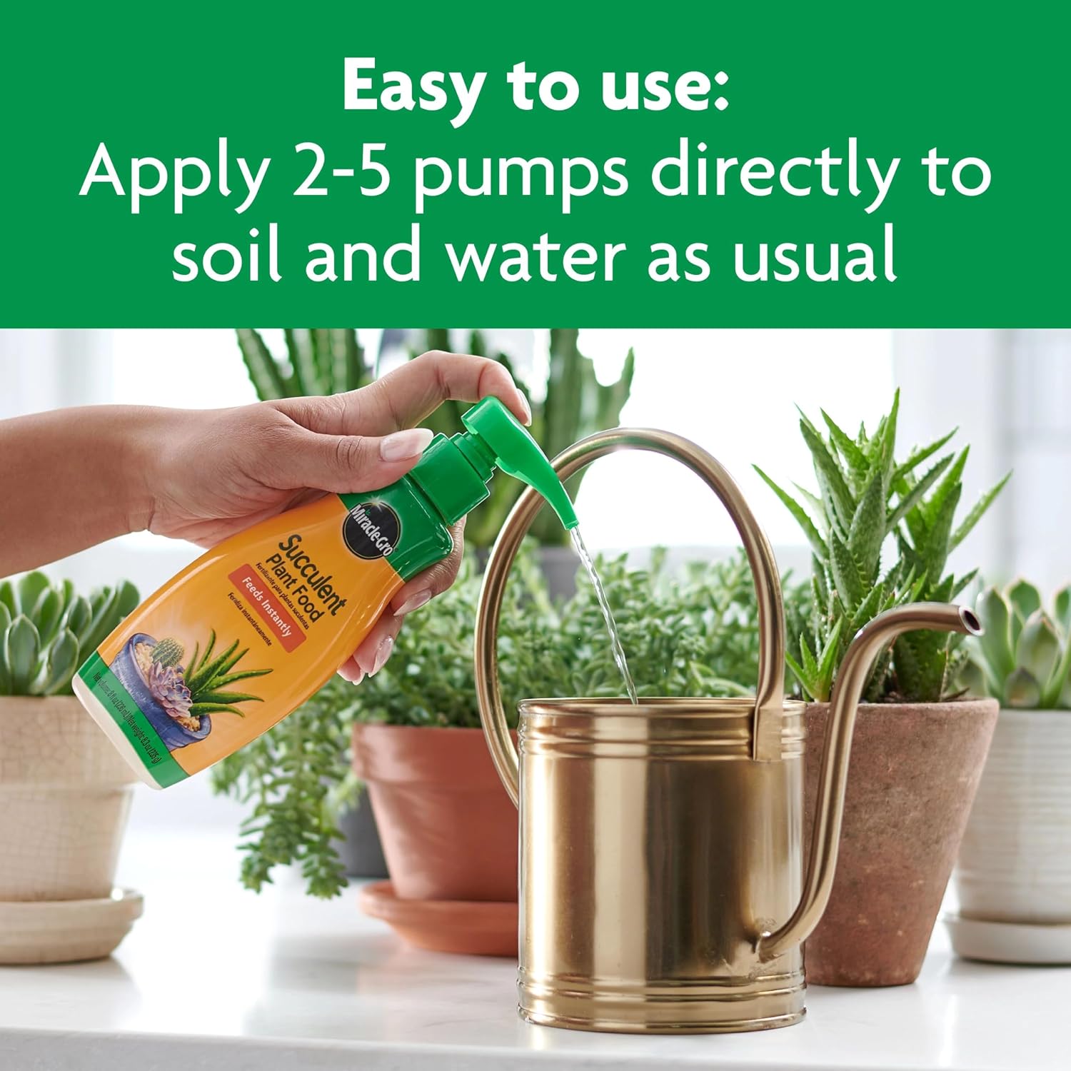 Miracle-Gro Succulent Plant Food - Liquid Fertilizer For Succulents And Cacti Including Jade And Aloe, Feed Every 2 Weeks - 8 Fl. Oz. (2 Pack)