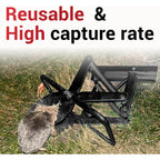 Mole Traps That Kill Best, 2 Pack Scissor Mole Trap, Sleek Black Stainless Steel Finish
