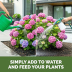 Hydrangea Fertilizer – Liquid Plant Food For Bigger Blooms, Rich Flower Color & Stronger Root Development, 8 Oz