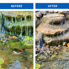 Crystalclear Algae D-Solv Epa Registered Pond Algaecide, 1 Gallon | Fast-Acting Algae Control For Fountains & Outdoor Ponds Containing Koi & Other Fish, 1 Gal Treats 46,080 Gallons.