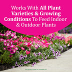 Osmocote Smart-Release Plant Food Plus Outdoor & Indoor1, 2 Lb. | Granular, Continuous Release Plant Fertilizer With 11 Essential Nutrients