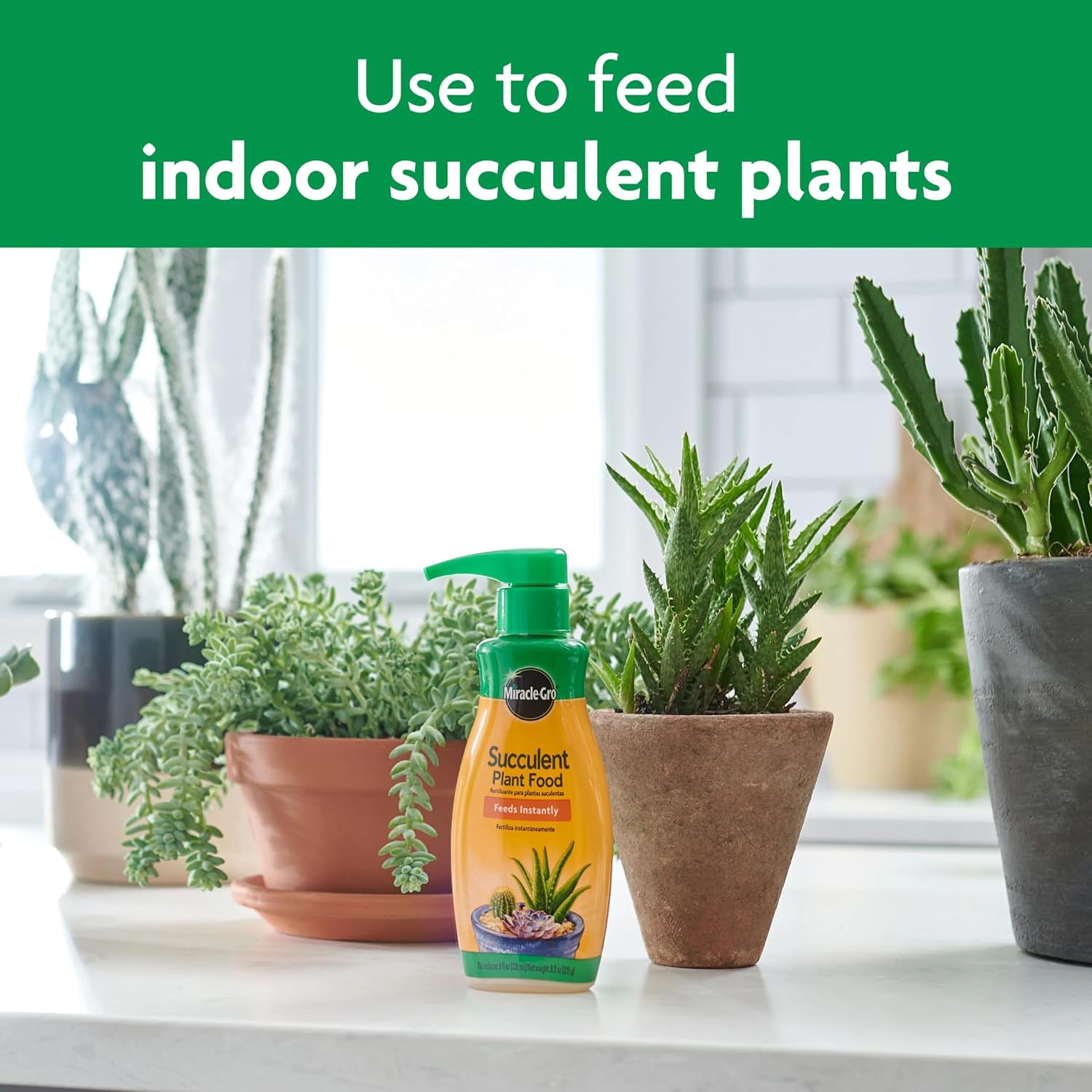 Miracle-Gro Succulent Plant Food - Liquid Fertilizer For Succulents And Cacti Including Jade And Aloe, Feed Every 2 Weeks - 8 Fl. Oz. (2 Pack)