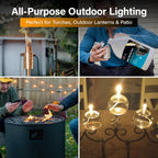 Firefly Tiki Torch Fuel - Citronella Lamp Oil 1 Gallon - Low Smoke | 2 Bottles, 14 X 7 X 7 In, Rectangular Bottle, Meets General Safety Standards, Outdoor Lanterns And Candles