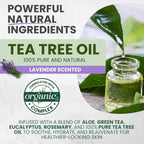Kesmedik Tea Tree Body Wash Maxtherapy With Lavender & 100% Tea Tree Oil For Skin, Cleans, Soothes And Refreshes Sensitive, Itchy Skin, Body & Foot Soap For Men & Women, 2-Pack, Limited Edition