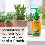Miracle-Gro Succulent Plant Food - Liquid Fertilizer For Succulents And Cacti Including Jade And Aloe, Feed Every 2 Weeks - 8 Fl. Oz. (2 Pack)