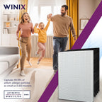 Genuine Winix 115115 Replacement Filter A For C535, 5300-2, P300, 5300, White/Black