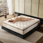 Twin Mattress, 10 Inch Hybrid Twin Mattress In A Box, Gel Memory Foam With Individual Isolation Pocket Springs, Medium Firm, Motion Isolation & Pressure Relief, Certipur-Us Certified