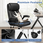 Ergonomic Office Chair, Desk Chair With Adjustable Lumbar Support