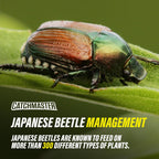 Catchmaster Japanese Beetle Traps W/Rain-Proof Cap 6-Pack & Dual Lure, Beetle Bag Trap, Hanging Beetle Catcher, Pest Control For Backyard & Garden, Plants, Trees, Vegetables & Flowers