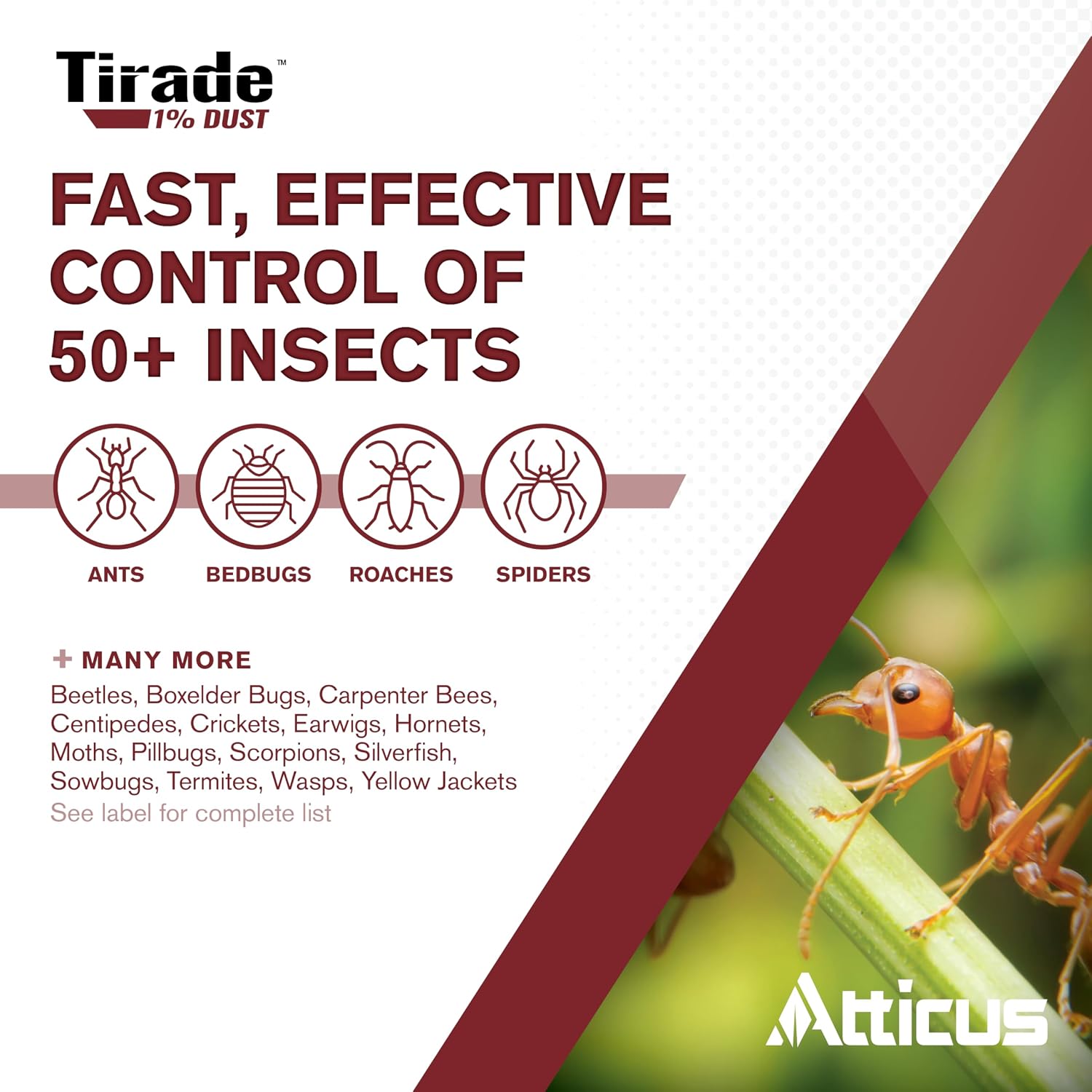 Atticus Tirade 1% Dust Insecticide (1.25Lb) - Control Wasps, Bees, And More | Ready-To-Use Cyfluthrin Dusting Powder, Indoor And Outdoor Pest Control, Hornets, Ants, Bed Bug, Yellowjacket Killer