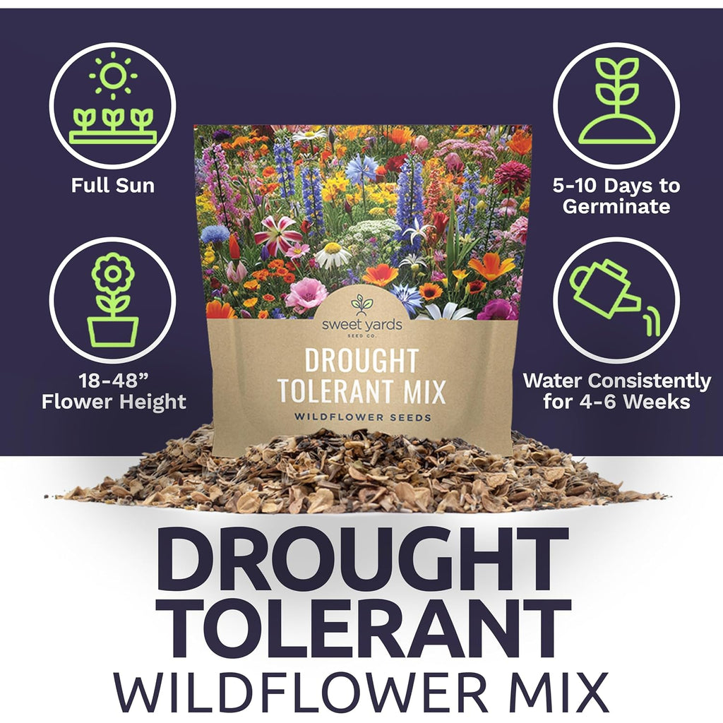 Drought Tolerant Wildflowers Mix – Extra Large Packet – Over 7,500 Open Pollinated Non-Gmo Seeds – 21 Different Dryland Species