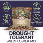 Drought Tolerant Wildflowers Mix – Extra Large Packet – Over 7,500 Open Pollinated Non-Gmo Seeds – 21 Different Dryland Species
