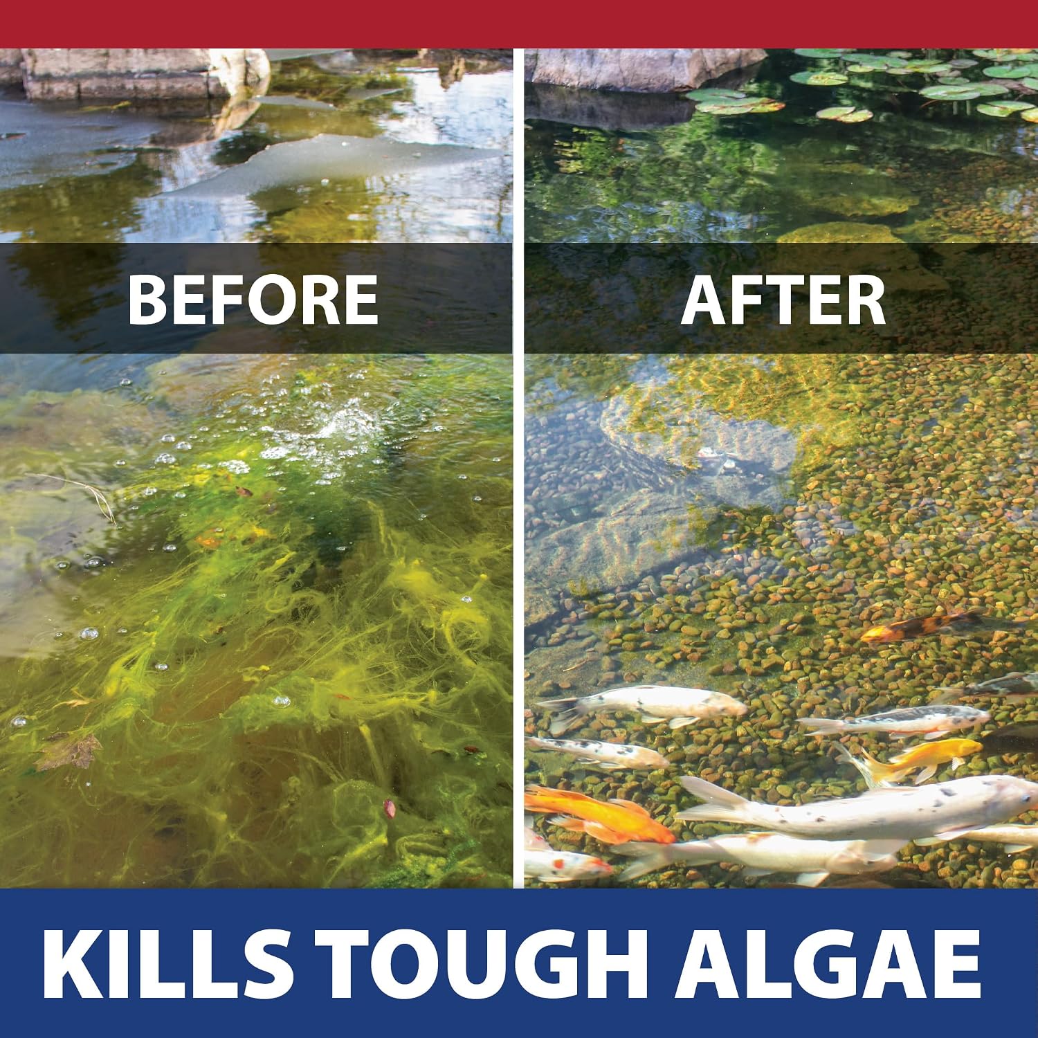 The Pond Guy Instafix Algae Control Liquid Algaecide, 16 Ounce | Epa Registered Algae Solution For Outdoor Water Gardens, Fountains & Birdbaths; Controls Green Water & String Algae