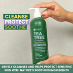 Kesmedik Tea Tree Body Wash Maxtherapy With Lavender & 100% Tea Tree Oil For Skin, Cleans, Soothes And Refreshes Sensitive, Itchy Skin, Body & Foot Soap For Men & Women, 2-Pack, Limited Edition