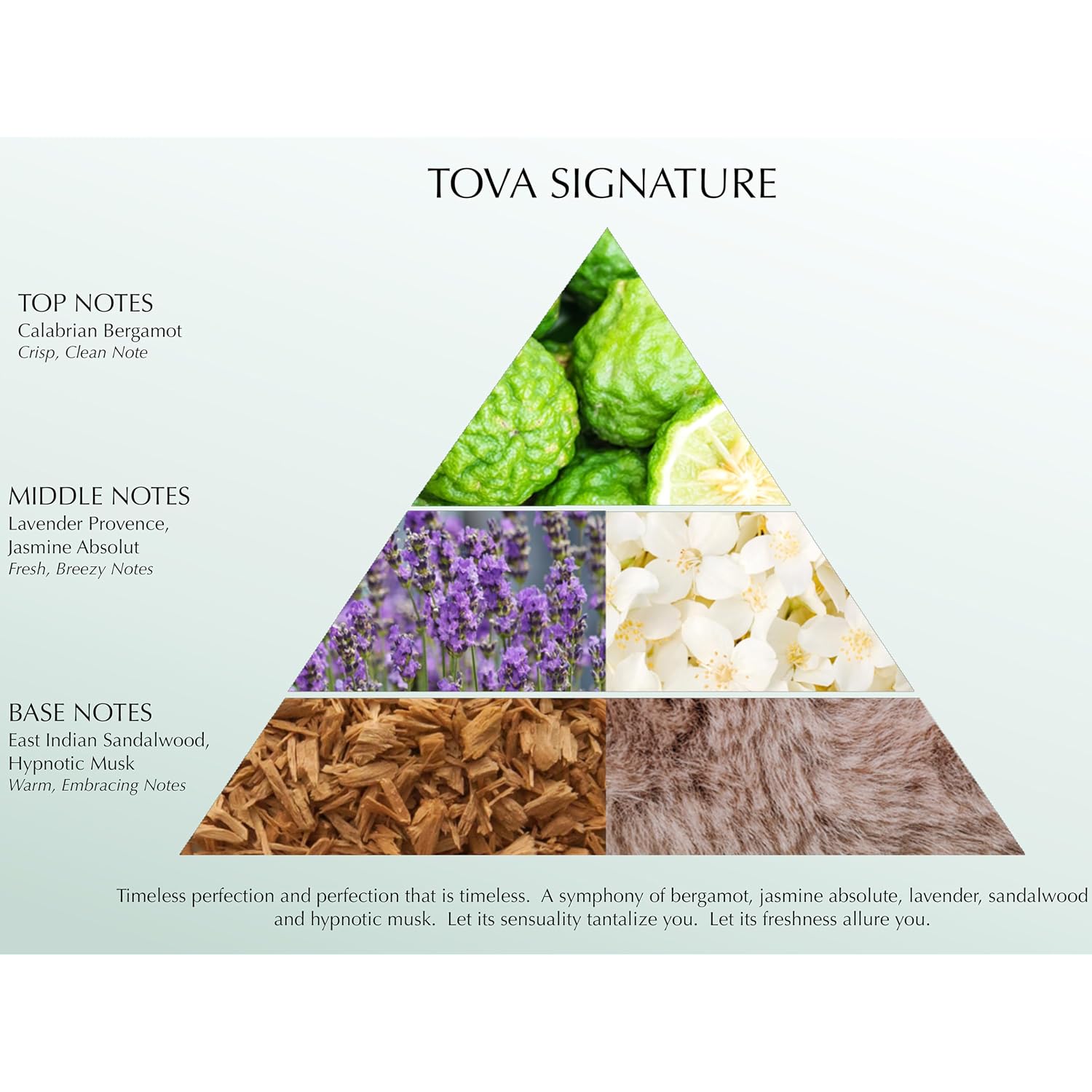 Tova Signature Eau De Parfum – Classic Bergamot Jasmine Lavender Perfume For Women – Timeless Scent – Usa-Made & Cruelty-Free – 3.4 Fl Oz