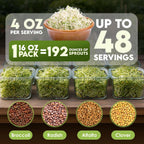 Nature Jim'S Sprouts Organic Salad Mix – Alfalfa, Radish, Clover Seed, 1Lb | Non-Gmo Microgreen Seeds - Fast-Growing Plants - Ideal Sprouting Seeds For Fresh & Nutritious Indoor/Outdoor Home Gardening