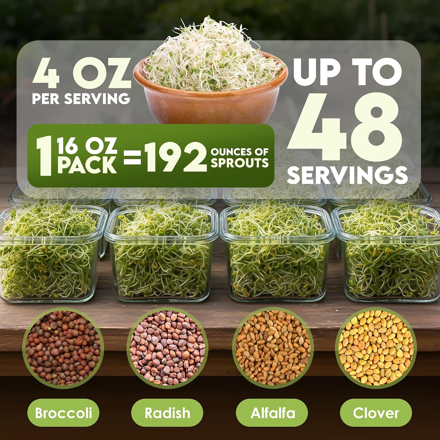 Nature Jim'S Sprouts Organic Salad Mix – Alfalfa, Radish, Clover Seed, 1Lb | Non-Gmo Microgreen Seeds - Fast-Growing Plants - Ideal Sprouting Seeds For Fresh & Nutritious Indoor/Outdoor Home Gardening