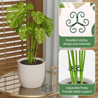 4Pcs Green Iron Monstera Support, Uniquely Designed Plant Support Stakes For Indoor Plants, Stable Plant Stakes And Supports, Turtle Shell Bamboo Clamp Set For Thriving Growth