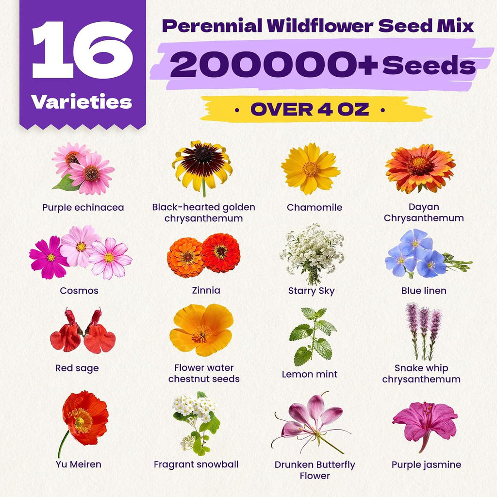 200,000+ Wildflower Seeds Bulk (4Oz) – 16 Varieties Perennial & Annual Mix, Attract Bees, Butterflies & Hummingbirds, High Germination For Outdoor Pollinator Garden, Unique Gift For Mother, Women, Mom
