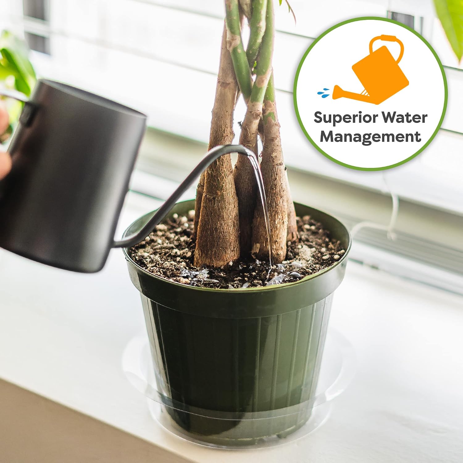 Perfect Plants Money Tree Potting Soil 4Qt | Organic Coco Coir Based Plant Mix For Indoor Trees | Quickly Grow Your Indoor Forest